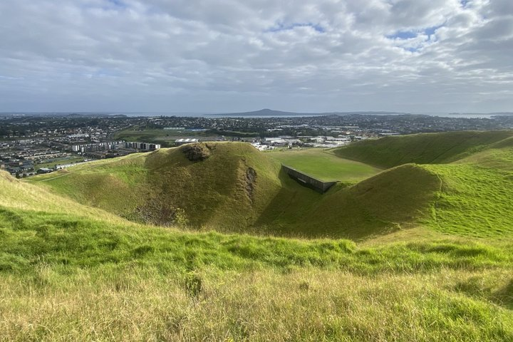 Shore Excursion: Half-Day Auckland Volcanoes Tour - Photo 1 of 13